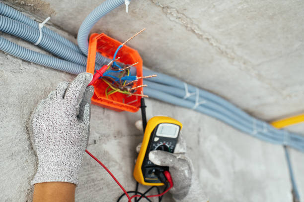 Best Electric Panel Repair  in Salem, NJ